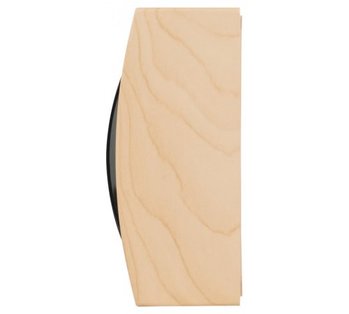 Корпус пластиковый навесной  ECO VILLAGE ЩРН-П-12 IP41 сосна   Б0055547  ЭРА