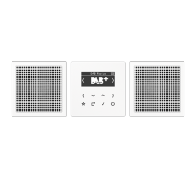 Смарт радио DAB+, стерео; белый DABLS2WW Jung