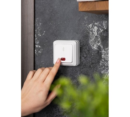 Рим Выключатель проходной 1-клавишный с индикатором 10А белый EKF  ENV10-125-10  EKF