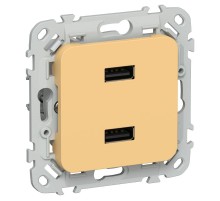 FLITE Розетка USB A+A 2,1А РЮ-2-ФлЗ золотарник  FI-U21-D31-K90  IEK