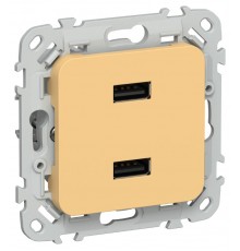 FLITE Розетка USB A+A 2,1А РЮ-2-ФлЗ золотарник  FI-U21-D31-K90  IEK