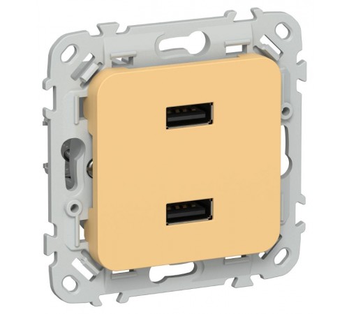 FLITE Розетка USB A+A 2,1А РЮ-2-ФлЗ золотарник  FI-U21-D31-K90  IEK