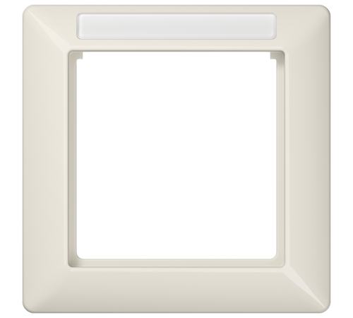 Рамка 1-кратная для вертикальной и горизонтальной установки; термопласт AS581BFINA Jung