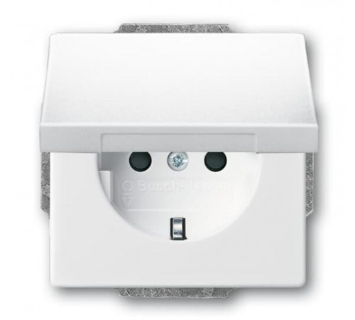 Розетка SCHUKO 16А 250В с защитными шторками, с крышкой, без лапок, серия future, цвет альпийский белый  2CKA002018A1529  ABB