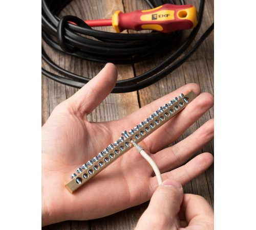 Шина PEN "ноль-земля" (6х9мм) 22 отверстия латунь крепеж по краям EKF PROxima  sn0-63-22-k  EKF