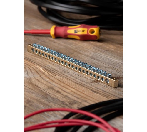 Шина PEN "ноль-земля" (6х9мм) 22 отверстия латунь крепеж по краям EKF PROxima  sn0-63-22-k  EKF