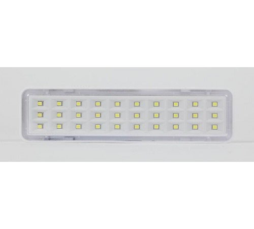Светильник аварийного освещения непостоянный светодиодный DBA-101-0-20 30LED 5ч IP20  Б0044394  ЭРА