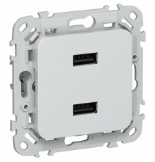 FLITE Розетка USB A+A 2,1А РЮ-2-ФлЖ жемчуг  FI-U21-D31-K36  IEK