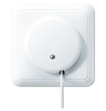 выключатель со шнурком 5506ZUWW Jung