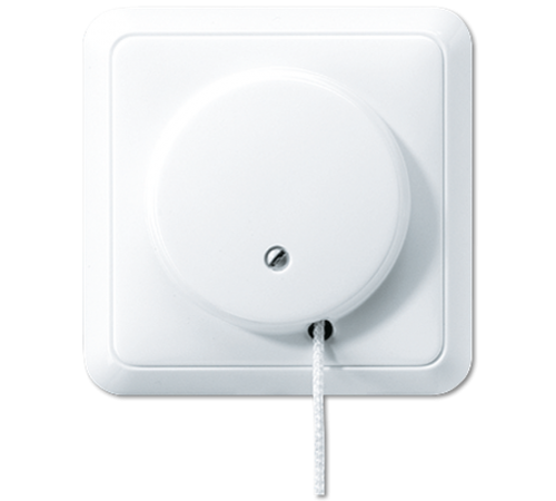 выключатель со шнурком 5506ZUWW Jung