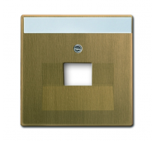 Плата центр. (накладка) для 1-ой телекомм. розетки 0213, 0216, с полем для надписи, Династия, Латунь античная  1710-0-4082   2CKA001710A4082  ABB