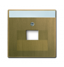 Плата центр. (накладка) для 1-ой телекомм. розетки 0213, 0216, с полем для надписи, Династия, Латунь античная  1710-0-4082   2CKA001710A4082  ABB