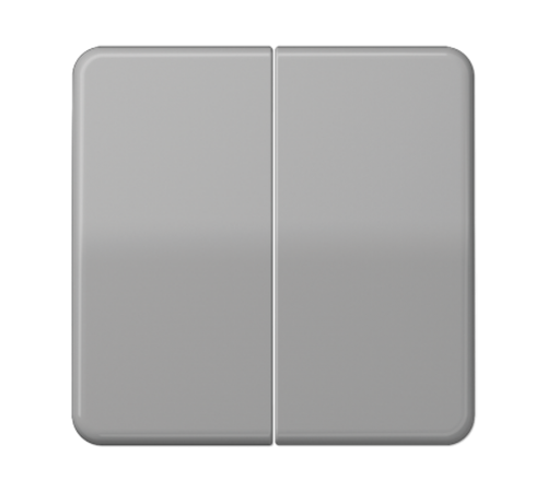 Клавиши ударопрочные для сдвоенного выключателя и кнопки; серые  CD595BFGR  Jung