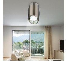 Светильник настенно-потолочный спот OL20 SN MR16/GU10, сатин/никель  Б0054391  ЭРА