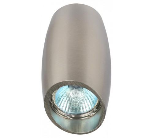 Светильник настенно-потолочный спот OL20 SN MR16/GU10, сатин/никель  Б0054391  ЭРА