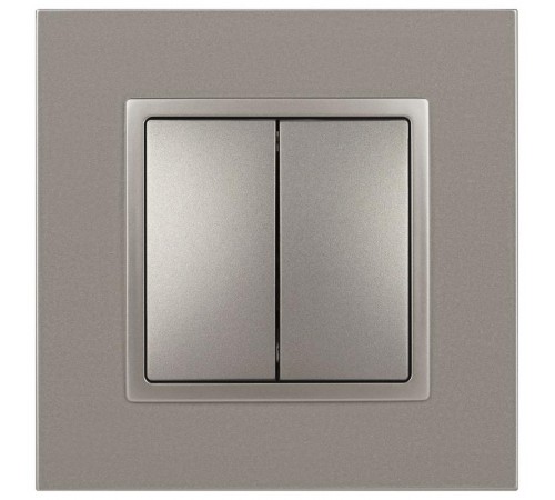 Выключатель Elegance 14-1104-16 двойной, 10АХ-250В, титан  Б0065803  ЭРА
