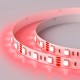 Лента светодиодная RT-B60-10mm 12V RGB (14.4 W/m, IP20, 5060, 5m) (arlight, Открытый)  012340(2)  Arlight