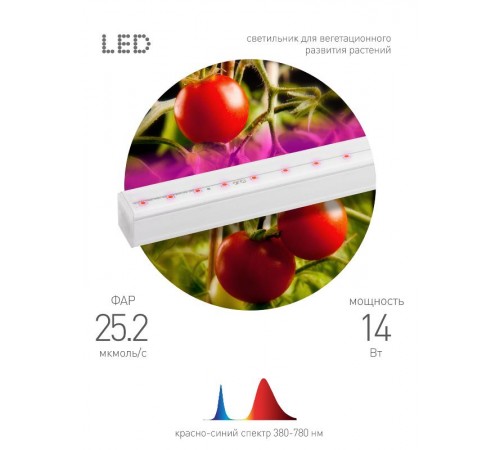 Светильник светодиодный для растений красно-синий спектр ЭРА FITO-14W-Т5-N  Б0045232  ЭРА