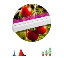 Светильник светодиодный для растений красно-синий спектр ЭРА FITO-14W-Т5-N  Б0045232  ЭРА