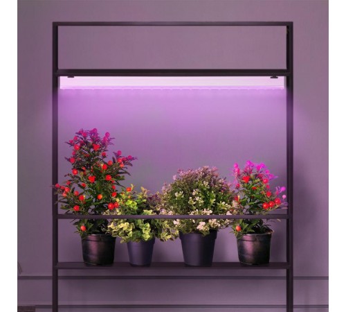 Светильник светодиодный для растений красно-синий спектр ЭРА FITO-14W-Т5-N  Б0045232  ЭРА