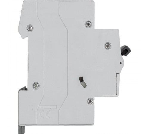 Выключатель автоматический двухполюсный RX3 4500 40А C 4,5кА  419701  Legrand