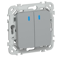 FLITE Переключатель 2-клавишный с индикацией 10А ВС62-1-1-ФлС серый  FI-V22-1-10-1-K03  IEK