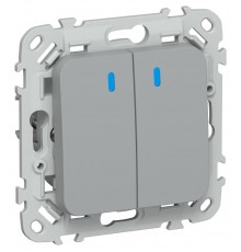 FLITE Переключатель 2-клавишный с индикацией 10А ВС62-1-1-ФлС серый  FI-V22-1-10-1-K03  IEK