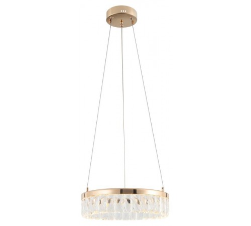 Люстра  Erika 6131-101 светодиодная LED 30 Вт 3000 K дизайн   Б0061963  Rivoli