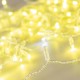 Светодиодная гирлянда ARD-STRING-CLASSIC-10000-CLEAR-100LED-FLASH Gold (230V, 7W) (Ardecoled, IP65)  025820  Arlight