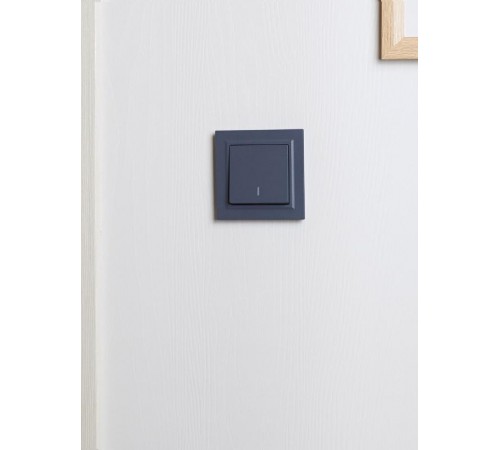 BRITE Рамка 1-ая РУ-1-БрМ маренго  BR-M12-K35  IEK