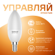 Лампа светодиодная Smart Home DIM E14 C37 5 Вт 2700К 1/10/40  1100112  Gauss