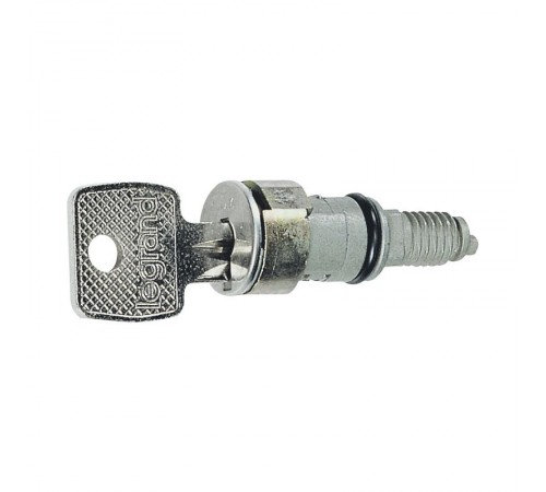 Вставка замка с ключами № 405  036822  Legrand