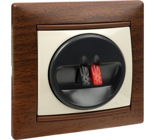 Valena Тонированное дерево Рамка 1-ая  770311  Legrand