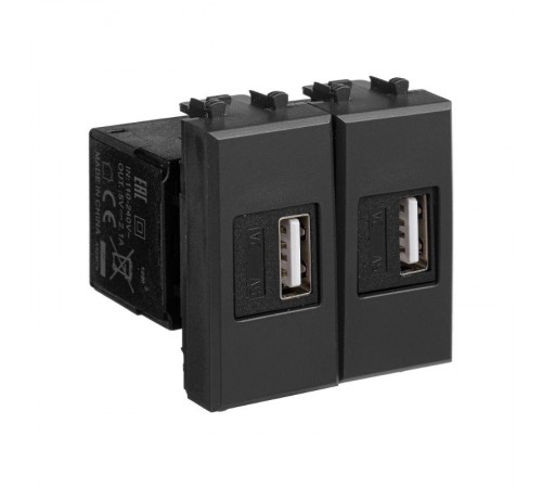 USB зарядное устройство модульное, "Avanti", "Черный матовый", 2 модуля  4412542  DKC