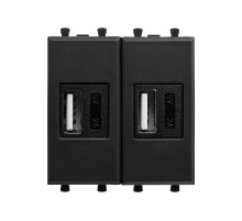 USB зарядное устройство модульное, "Avanti", "Черный матовый", 2 модуля  4412542  DKC