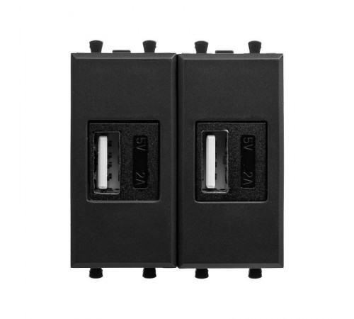 USB зарядное устройство модульное, "Avanti", "Черный матовый", 2 модуля  4412542  DKC