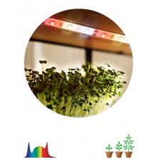 Светодиодная лента для растений FITO-Strip Light-Rа90-3m FITO-Strip Light-Rа90-3m  Б0059881  ЭРА