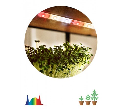 Светодиодная лента для растений FITO-Strip Light-Rа90-3m FITO-Strip Light-Rа90-3m  Б0059881  ЭРА
