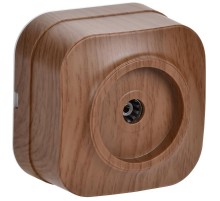 РТВ20-ХД Розет. 1-ая телевиз. о/у GLORY дуб  EAH10-K24  IEK