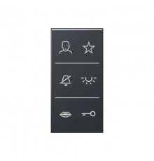 Video-дизайнерская накладка                    SIV6ADCANM Jung