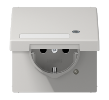 SCHUKO-розетка с крышкой   LS1520NAKLKOLG Jung
