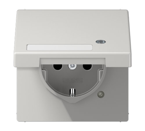 SCHUKO-розетка с крышкой   LS1520NAKLKOLG Jung