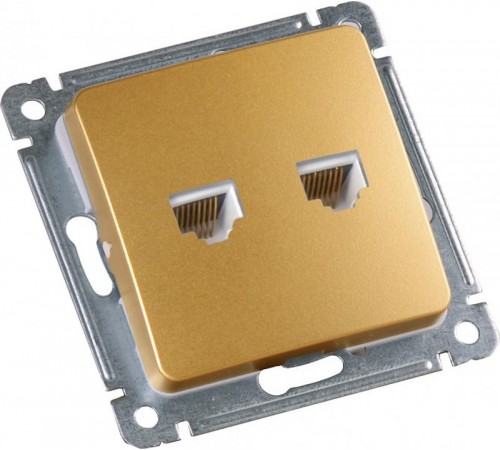 Розетка компьютерная скрытой установки, механизм, цвет золото  РСКК-440-07  HEGEL