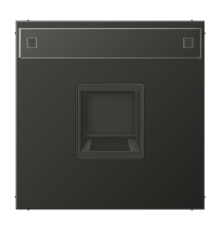 Плата (фиксация защёлкиванием) с полем для надписи для одного модуля; металл; антрацит  AL1969-15NAWEAN  Jung