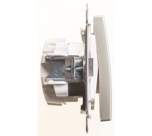 W59 Шампань Выключатель 1-клавишный 2-полюсный, 10АХ  VS210-152-4-86  SE