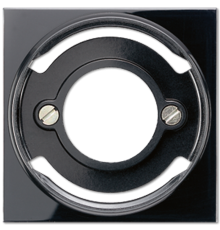 Накладка A537BFPLSW Jung