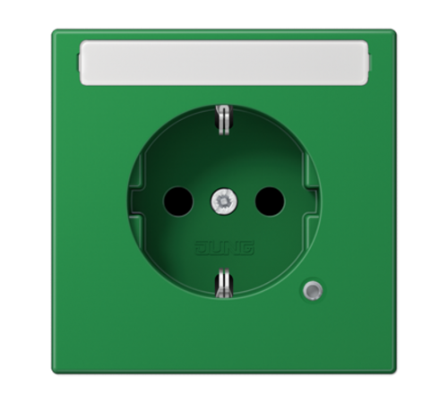 SCHUKO розетка с полем для надписи 9x58 мм LS1520BFNAKOGN Jung