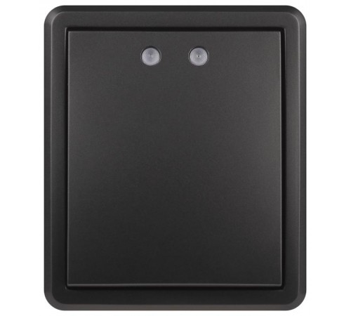 Выключатель Эксперт 11-1202-05 с подсветкой IP20 10АХ-250В ОУ Антрацит  Б0063044  ЭРА