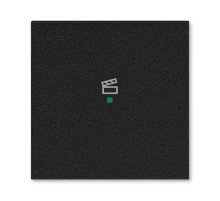 ABB Levit Антрацит Клавиша 1-ая с символом сцены free@home  6220H-A01003 63  2CHH621003A4063  ABB