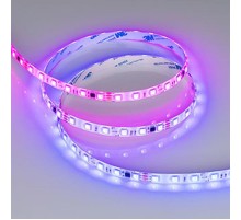 Светодиодная лента герметичная SPI-SE-B60-10mm 24V RGB-PX6-BPT (12 W/m, IP65, 5060, 5m) (Arlight, бегущий огонь)  039601  Arlight